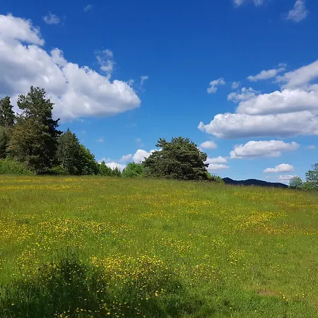 Höllenbergblick Spirkelbach
