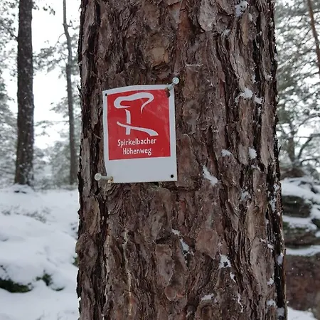 Höllenbergblick Spirkelbach